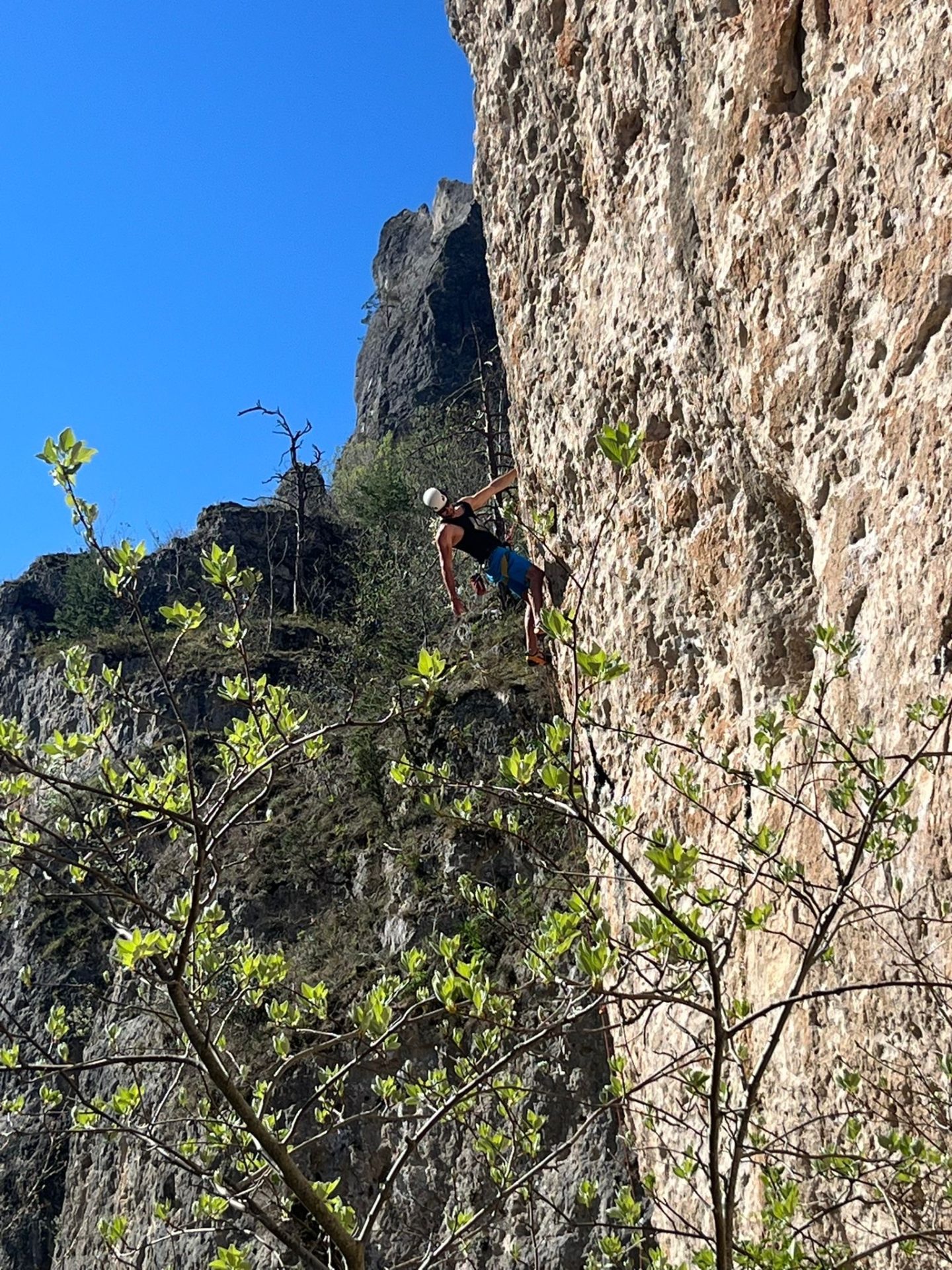 You are currently viewing Stage adultes dans le Tarn