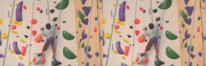 Lire la suite à propos de l’article Formation parents : objectif moulinette !