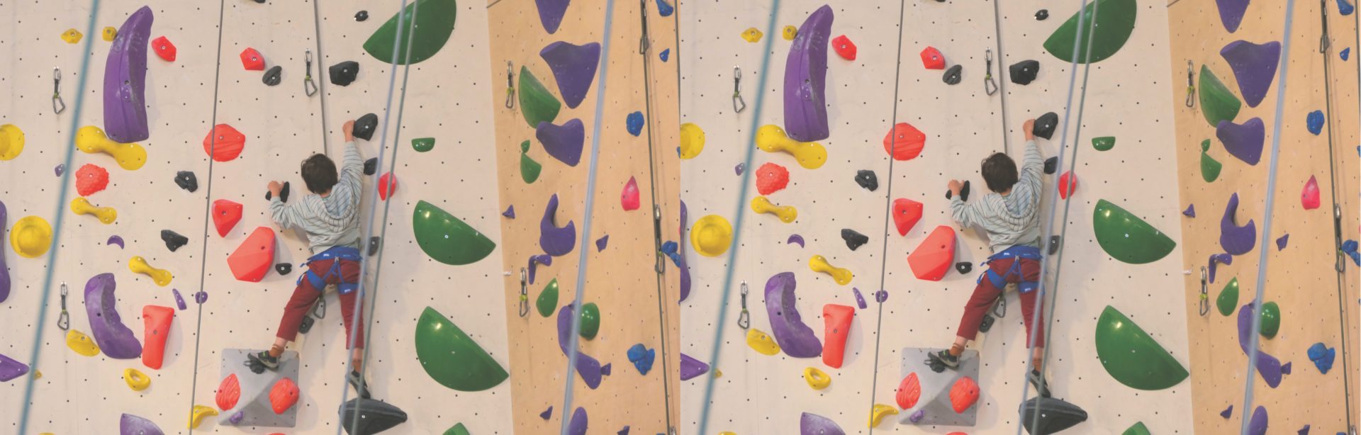 Lire la suite à propos de l’article Formation parents : objectif moulinette !